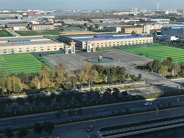 束昱辉被拘大丰百亿投资何去何从？官员称没围绕权健做文章