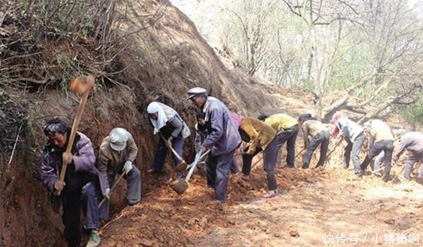 农民公粮交了, 义工做了, 他们该有退休金领吗? 专家这回说了人话