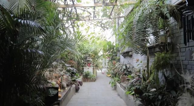 藏在北京小院里的悠闲小时光,生活原来可以这么惬意