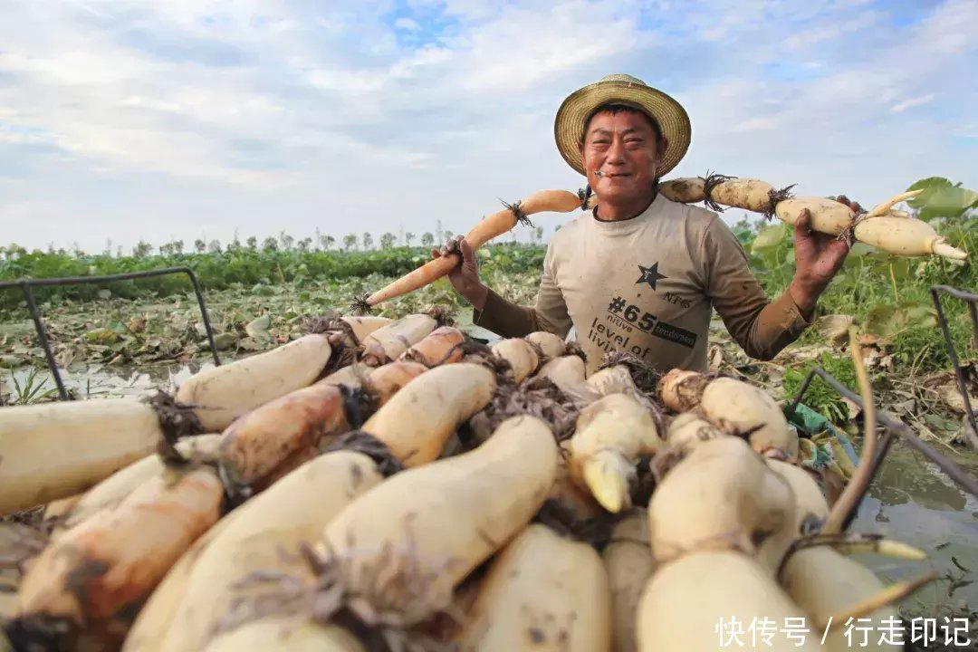 4000米高空跳伞是什么感觉？来甪直体验当“鸟人”的滋味