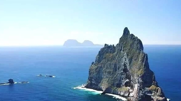 一座酷似金字塔的岛屿,发现灭绝已久的“树龙虾”,起死回生！