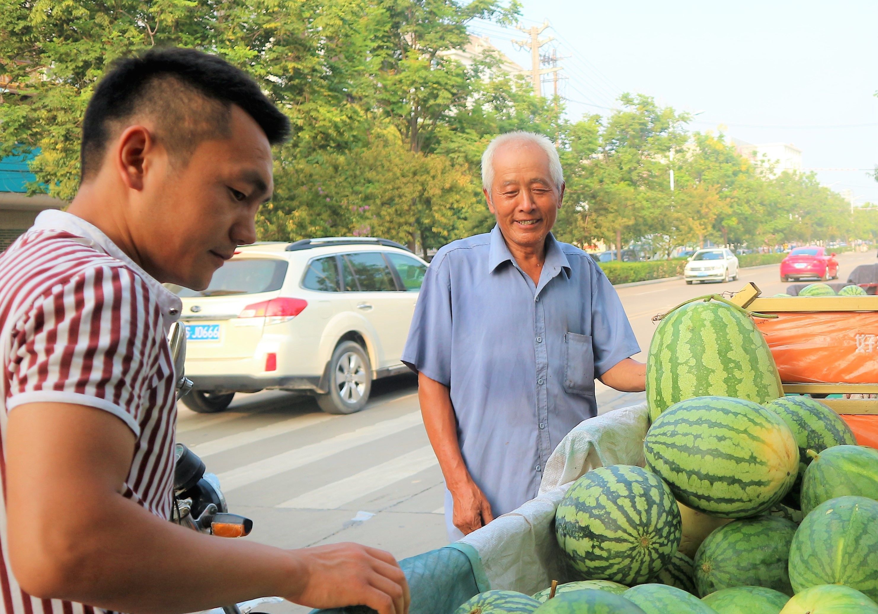 70岁农村老人种植5亩西瓜，能赚多少钱?农民大伯讲出真相
