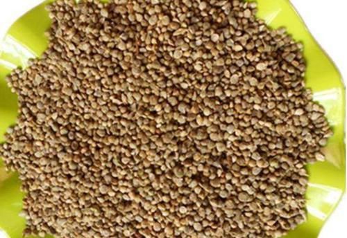  [照看]上班族种花不如种菜，不花时间照看，结得生鲜蔬菜，一家人吃不完