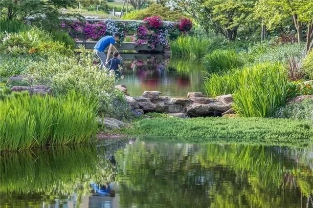  #色块#景观设计中园林植物的色彩美