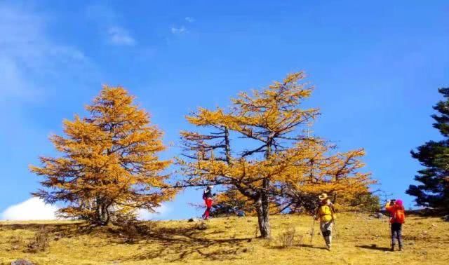 去过的都说美炸了！玉龙雪山下美丽神秘的天堂——“般弄国”