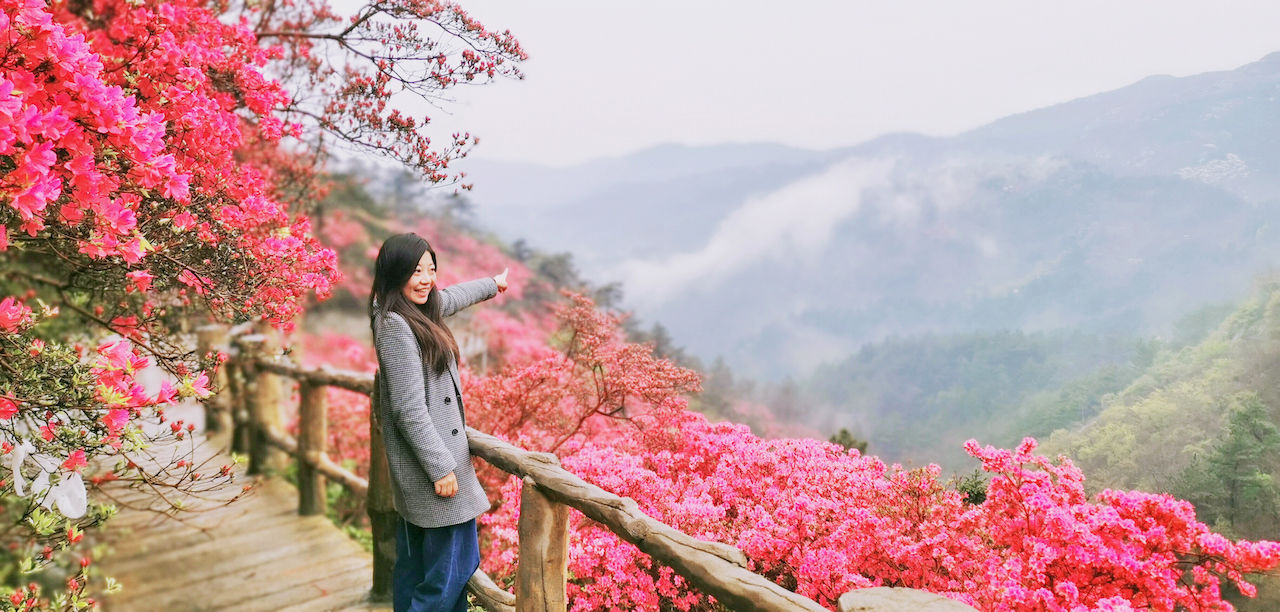 武汉周边游3??丨黄陂赏花和登山徒步，推荐这四个景区必须打卡