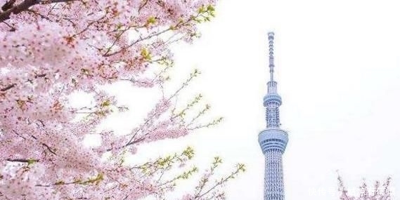  「中国」日本第一大城市，对比中国第一大城市！网友：差距太大