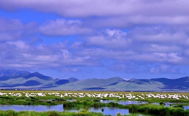  『解封』解封之后都是假期，推进几个说走就走的无病毒景点