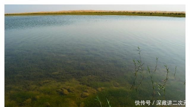  记住@正值繁殖季节，鲫鱼鲤鱼该怎么钓？记住这些方法上大鱼不难
