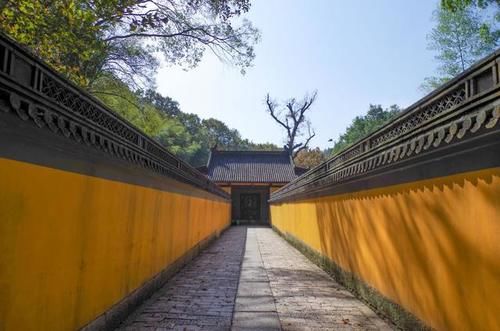 这里遍地都是硅化木化石，还有满坡的恐龙蛋却没有人去挖