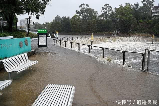  「只毒」澳洲火灾之后又发洪水，暴雨致数百万只毒蚊子滋生或引