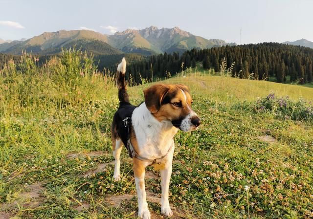 96天、17191公里！我的三个多月新疆自驾游，到底花费了多少？