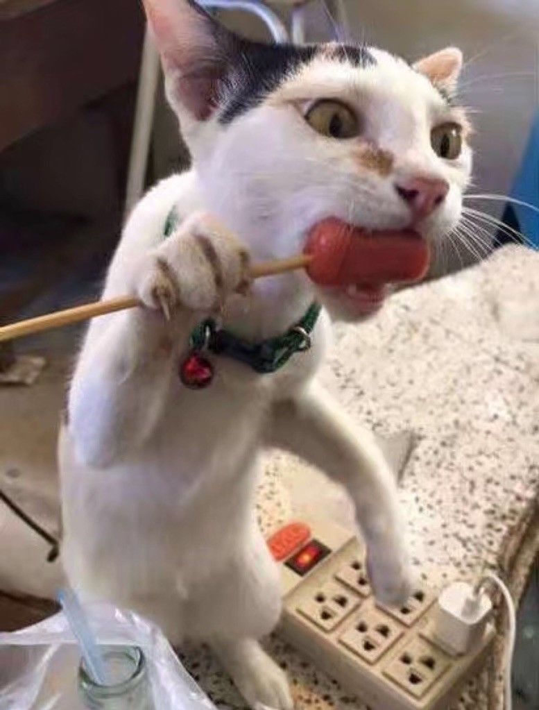 14个令人“哭笑不得”的瞬间，这么“奇葩”的操作我还是头一次见