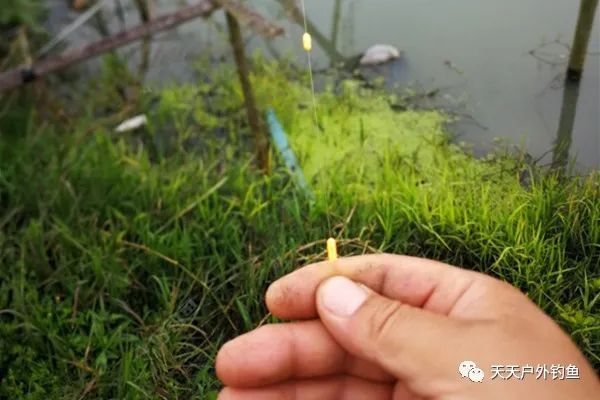  七星■钓鱼10多年，未必知道七星漂的这些另类用法，这可是野钓狠招数！