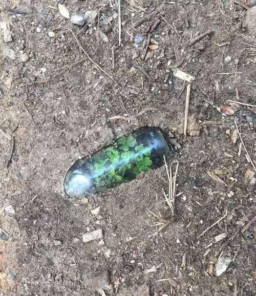 20张不可思议的照片，证明大自然无所不能！