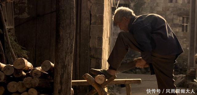 这些树看着不起眼，确实上好的硬木材料，你认识几种