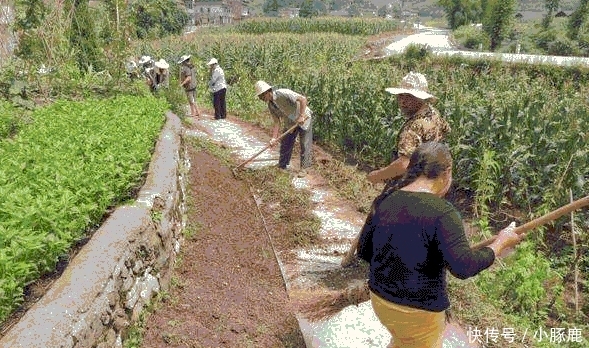 明年, 农村这5大惠农项目要动工, 需要大量人力, 人均每天200元!