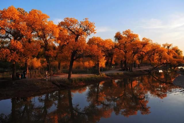 推荐｜额济纳，她的美只有20多天，错过再等一年