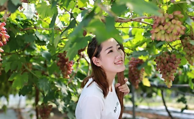 与其在异乡“孤独”打工者，不如回乡创业!在农村干什么能赚钱?