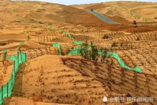  「我国」我国治理塔克拉玛干沙漠耗资数亿美元，种植的大量植物
