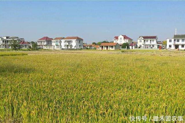  「处理决定」对于农村租地，近期出现了一些不得不防的“陷阱”