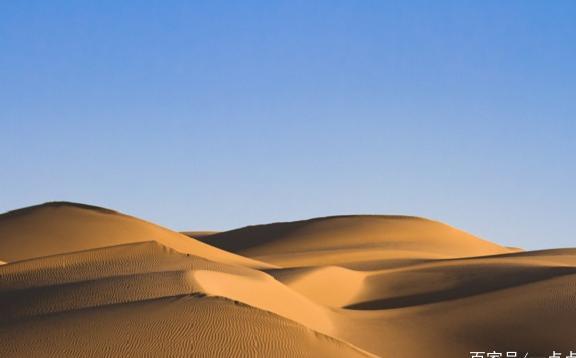 中国最大的沙漠如果变成大森林，会带来什么样的好处和危险呢