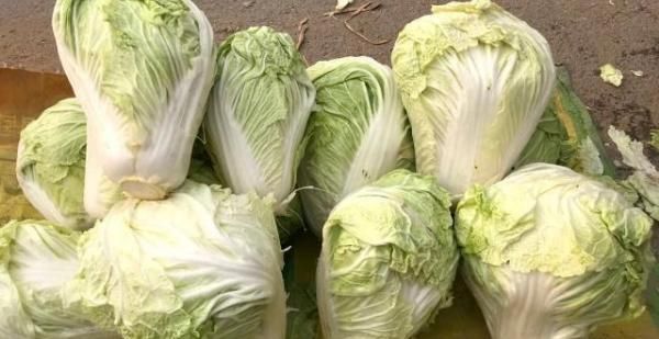  不住|疫情后农村将迎建房潮，有人空着不住也愿盖新房，啥原因？