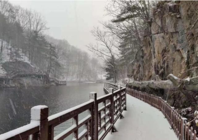 洛阳白云山首场降雪，景色美如仙境