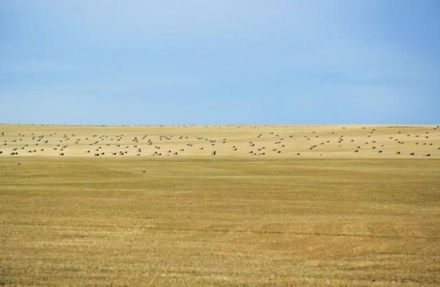 内蒙10处醉美秋景，每一处都美如油画，景色不输新疆