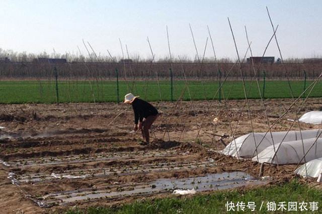  「处理决定」对于农村租地，近期出现了一些不得不防的“陷阱”