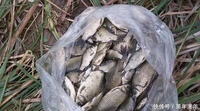 配方■特效诱鱼小药配方分享,垂钓鲫鱼鲤鱼必备,黑坑野钓都能用