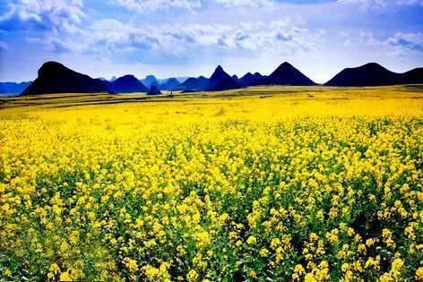 云南最值得3个地方，不仅景美，还不宰客