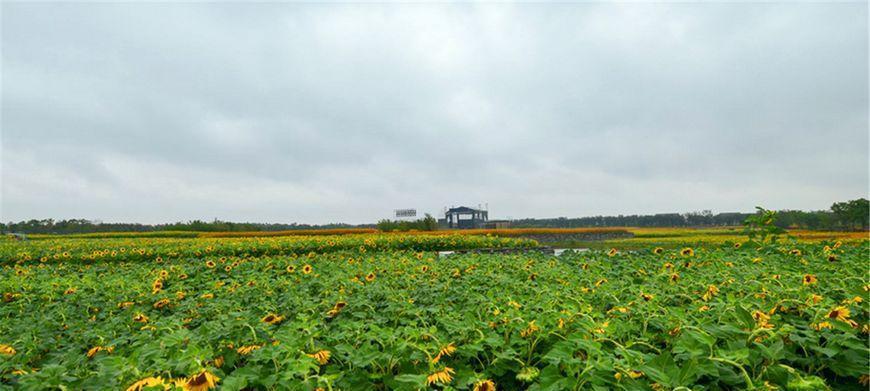 江苏经济排名倒数的城市: 出了俩家喻户晓的人, GDP能超越一些省