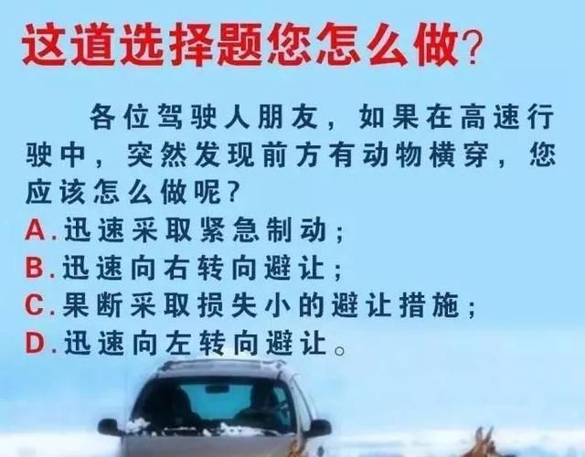 事故■高速事故预警丨为躲小动物，小轿车栽入沟中！如果是你，你躲吗？