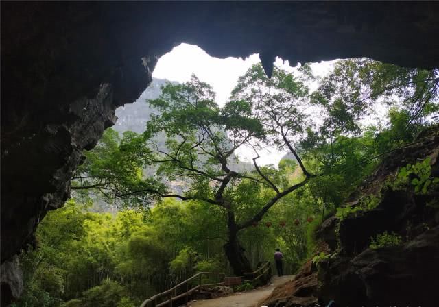 探访：广东怀集“世外桃源景区”，原来这里早已荒弃