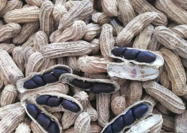  [亩产值]黑花生的种植效益很高，亩产值高达8000多元，为啥很少人种植呢