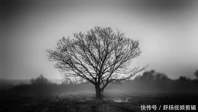 风光摄影师告诉你：仅用5技巧，拍风景摄影技巧一定会进步