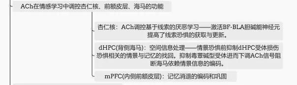 [情绪]重磅综述：厌恶性情绪学习环路中的神经调节【思维导图解析】
