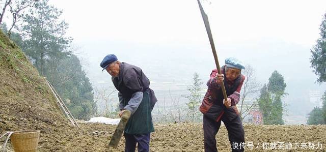 农村户口取消后，农民的5个结局，第二种人最苦，几乎每家都有！