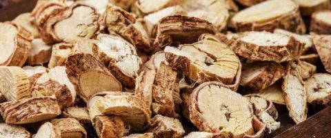 农村这种常见的野草被称为“牛大力” 现在要90元/斤