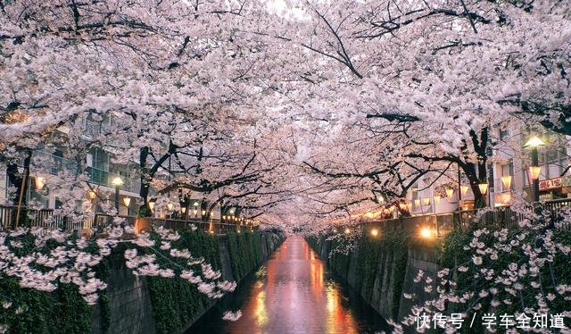 旅行社内部人员揭秘旅游“潜规则”，国内各大景区不淡定了……