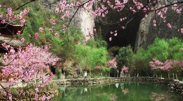 再过两天，酉阳将成为全世界最美的地方!