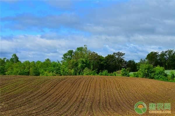 2019年的这些农业补助你知道吗？农民朋友要注意及时关注！