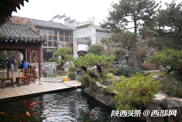 西安西郊有座江南私家花园 看锦鲤咥养生石斛面只需16元