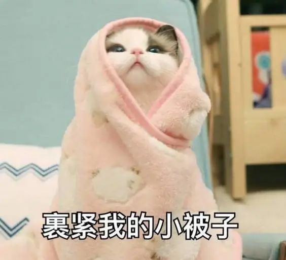 『节奏』潍坊气温骤降!1℃+霜冻!这是要重穿棉衣的节奏?!