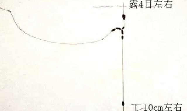  [钓法]不管在哪钓，我只要稍微换换铅坠，五种钓法任意选，中鱼率还特高