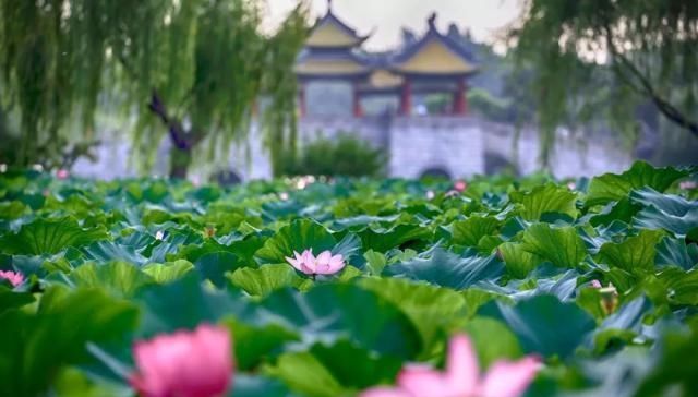 比成都安逸，比苏杭秀美，倦了就去小住几天