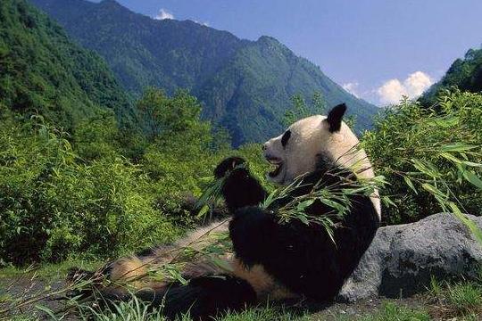 国内城市最多的2省份,其一是广东,另一个比广东还多!