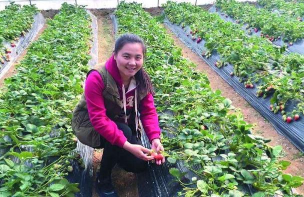  不算|未来三五年，农村3大行业或迎“爆发式增长期”，年赚10万