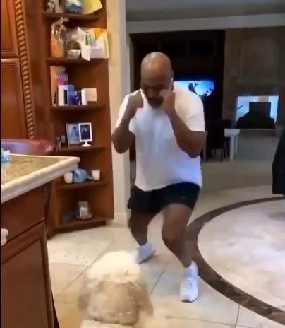 『马斯』宅男泰森自得其乐!交新朋友,子女无一人接班,只能在他面前练拳